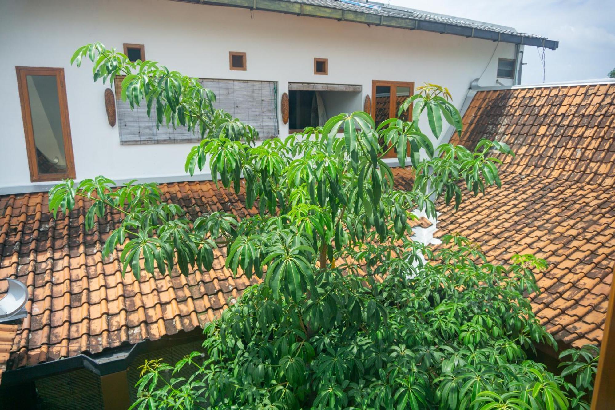 Limolas Homestay *